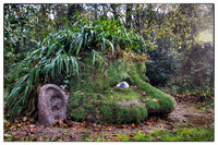 1210_Heligan_098_099_100-Edit