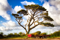 1305_Tremayne_002-Edit