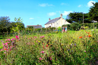 1209_Cornwall_019-Edit