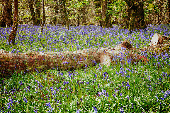 1204_Tor2_069_HDR