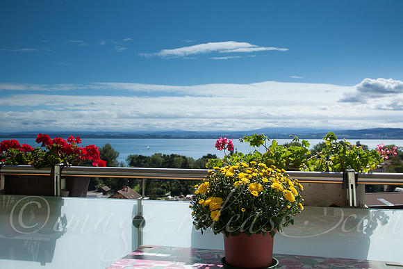 SwissSept11-008